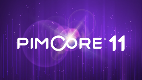 Pimcore 11: Ontketen de kracht van Next-Gen