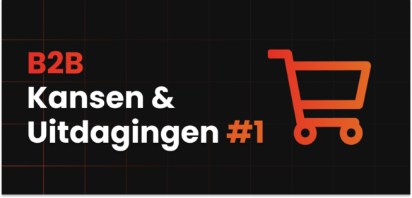 B2B Kansen & Uitdagingen #1: De opkomst van B2B e-commerce en wat dit betekent voor jouw bedrijf